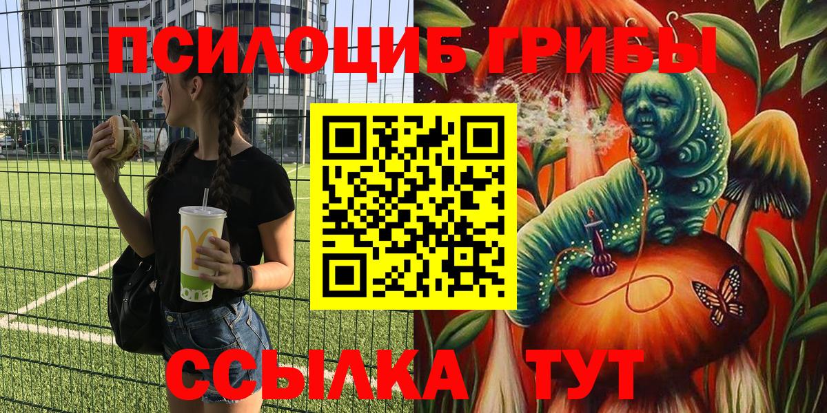 Галлюциногенные грибы Psilocybine cubensis Энгельс