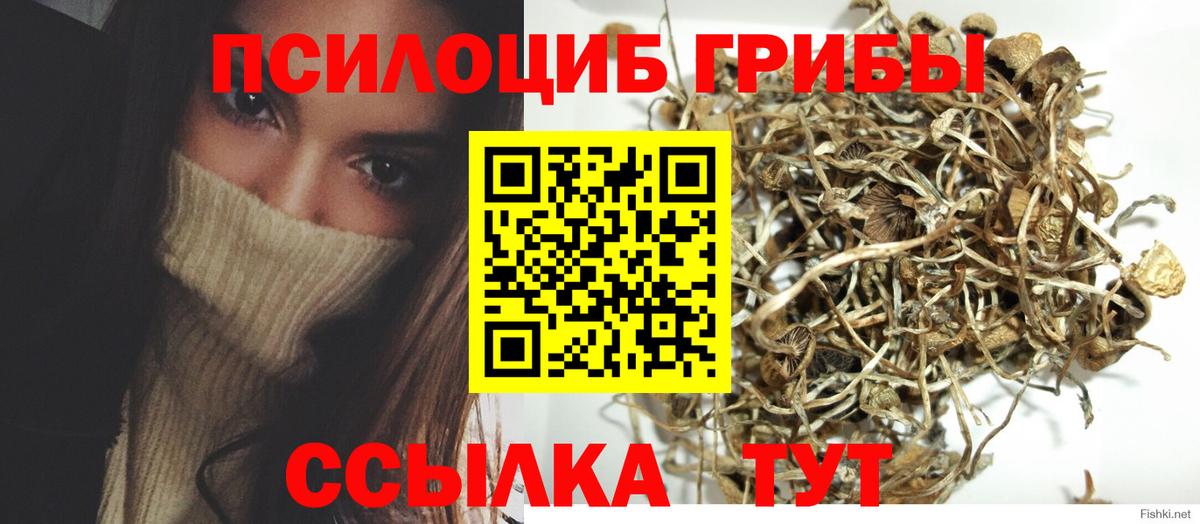 Энгельс  Галлюциногенные грибы мицелий  Вход с VPN 